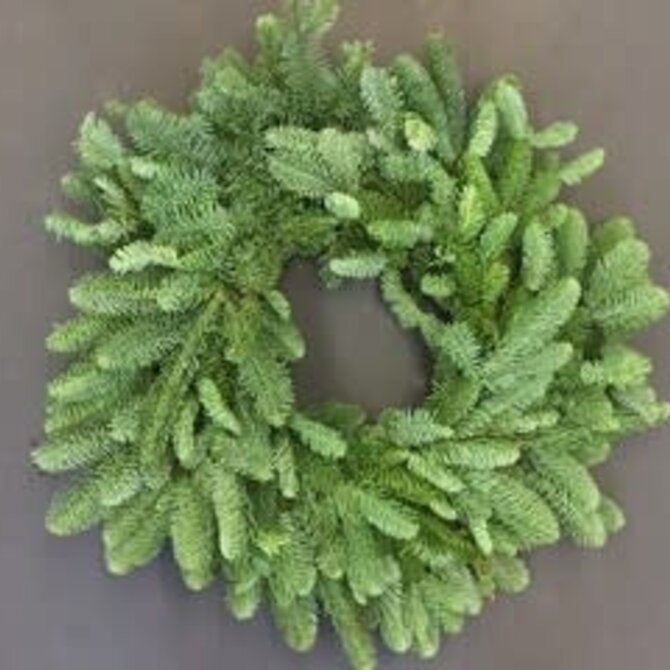 Noble Fir Wreath 16"
