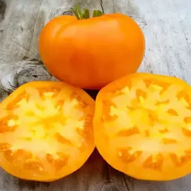 Amana Orange Tomatoe