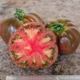 Pink Berkely Tie Dye Tomatoes