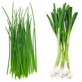 Chives