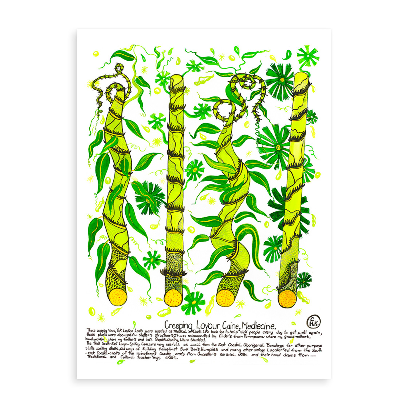 Heather Wunjarra Koowootha, Loyour Caine  2019-20 | Open Edition Print