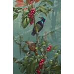 William T Cooper, Victoria's Rifle Bird with Topaz Tamarind | Limited Edition Print