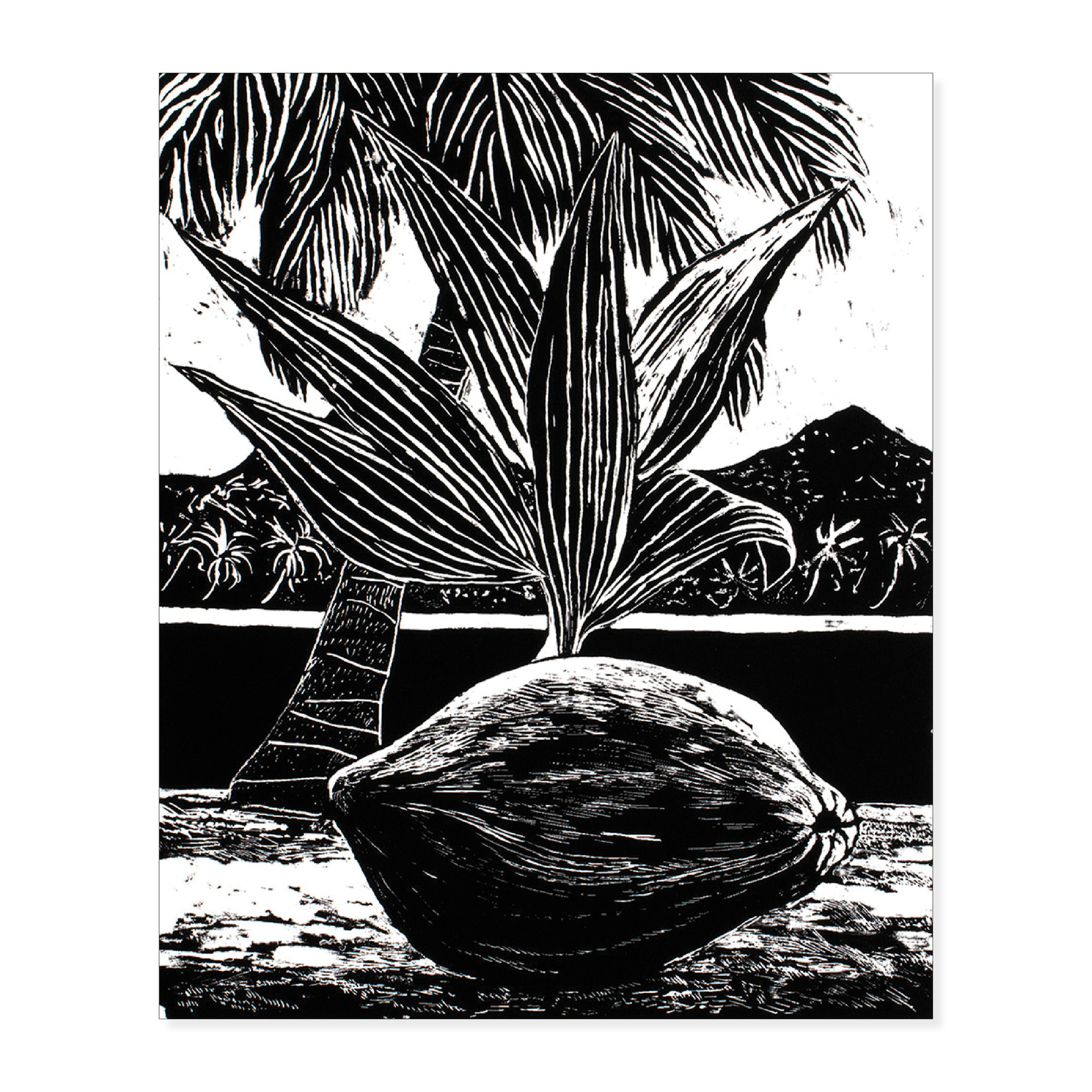 Ray Crooke, Coconut - Reproduction Print (medium)