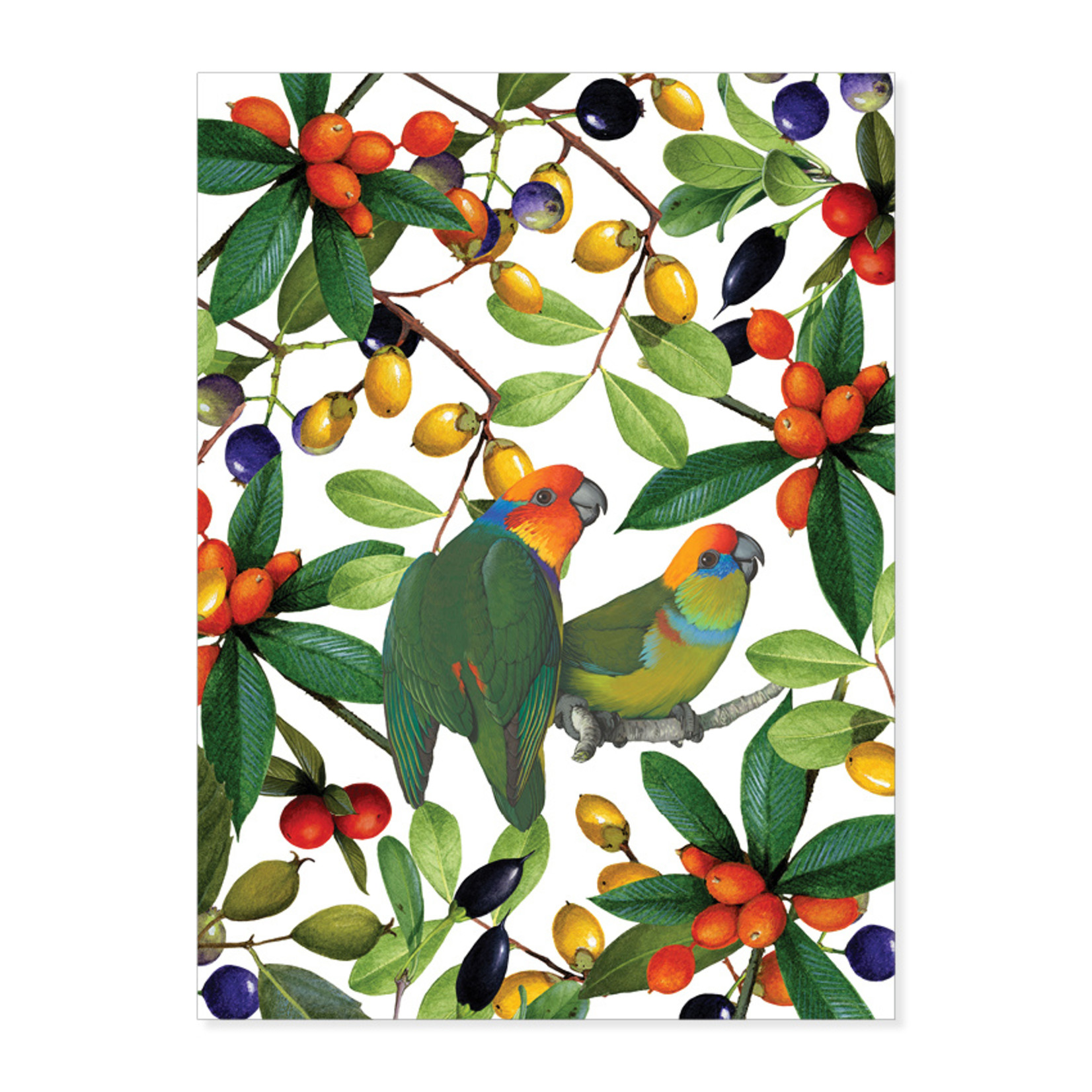 William T Cooper, Fig Parrot & Alyxia | Tea Towel