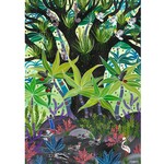 Melanie Hava,  Rainforest Rumours  2019 | A1 Reproduction Print