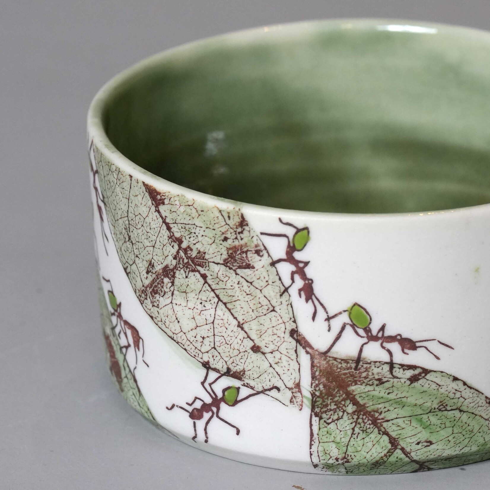 Mollie Bosworth, Bowl with Green Ants | Porcelain