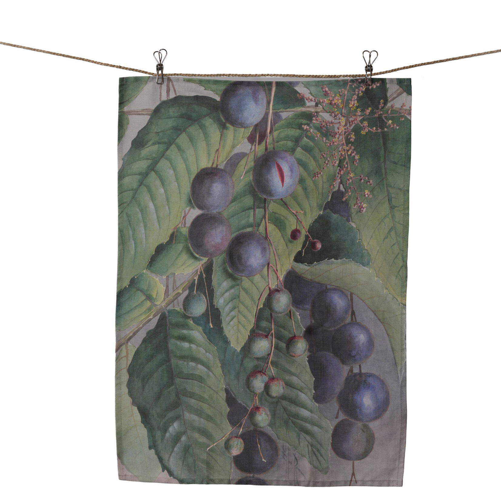 Ellis Rowan, Davidson's Plum | Tea Towel