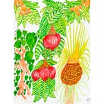 Heather Wunjarra Koowootha, The Wild Bush Apple | Tea Towel