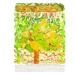 Heather Koowootha,  Cheese Fruit  2019-2020 | A1 Reproduction Print