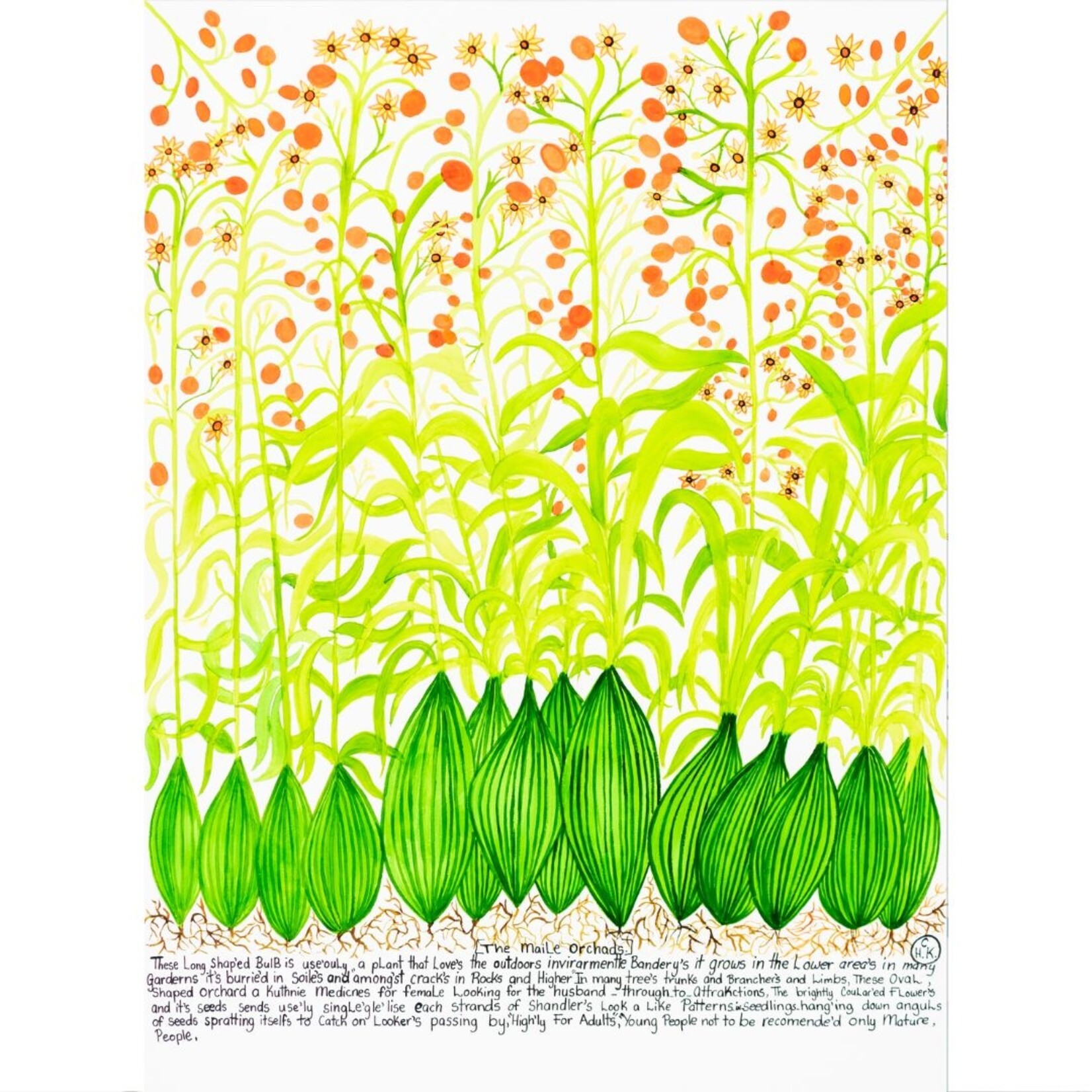 Heather Wunjarra Koowootha, Maile Orchads  2019-20 | Open Edition Print