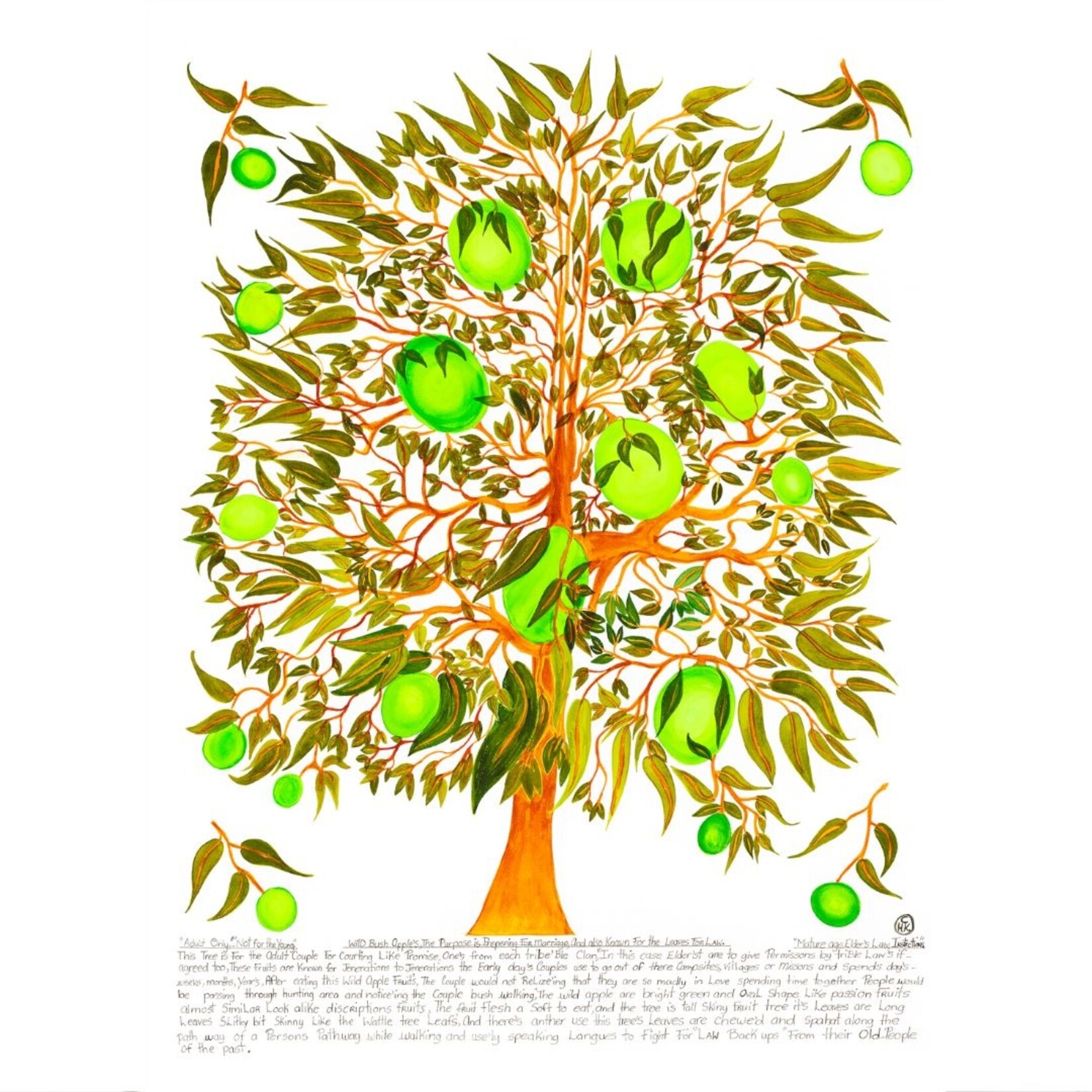 Heather Koowootha, Wild Bush Apples  2019-20 |  Reproduction Print