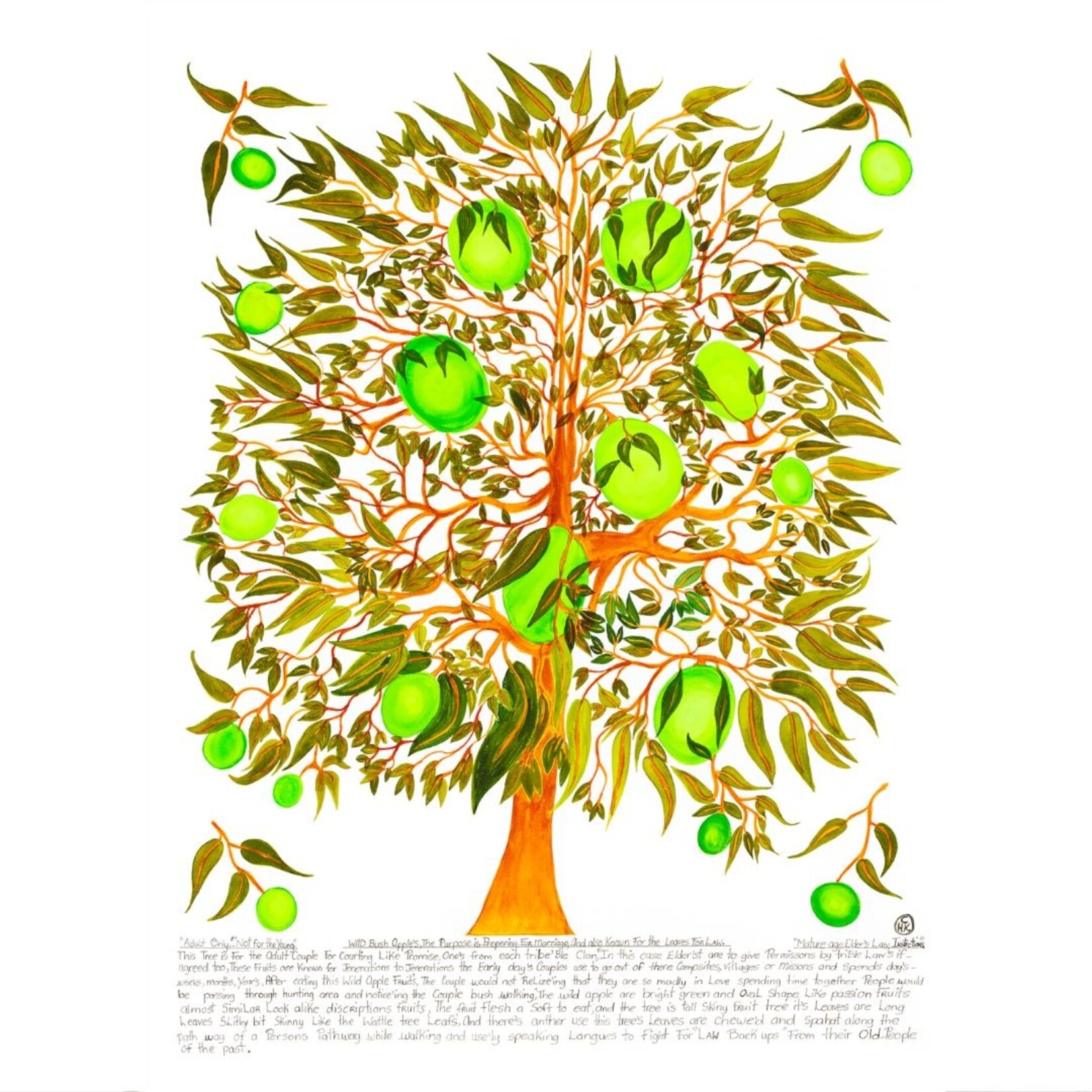 Heather Wunjarra Koowootha, Wild Bush Apples  2019-20 |  Reproduction Print