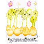 Heather Wunjarra Koowootha, Water Lily Cabbage 2019-20 | A2 Reproduction Print