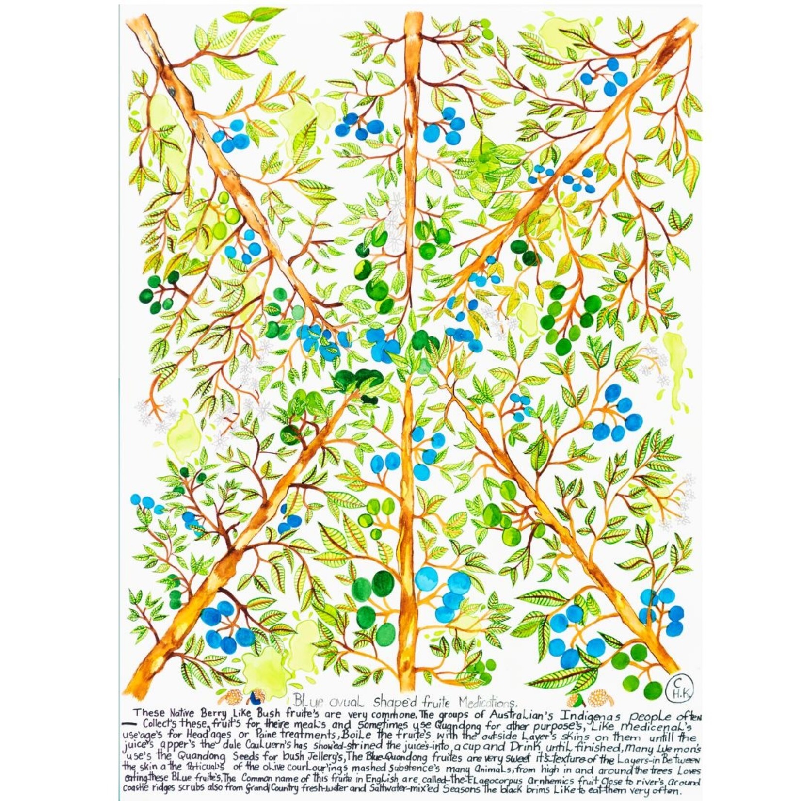 Heather Wunjarra Koowootha, Blue Fruite Medications  2019-20 | Reproduction Print