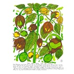 Heather Wunjarra Koowootha, Goose Berries  2019-20 | Open Edition Print