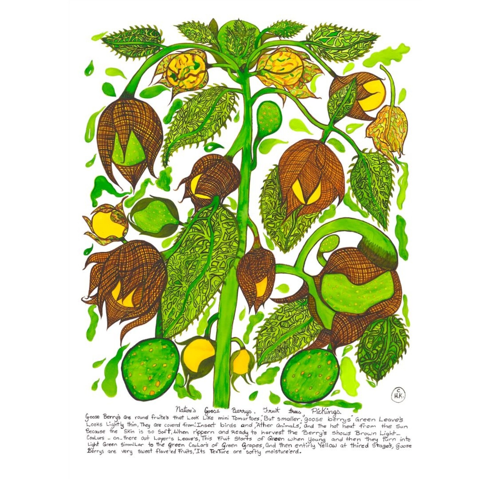 Heather Wunjarra Koowootha, Goose Berries  2019-20 | A2 Open Edition Print