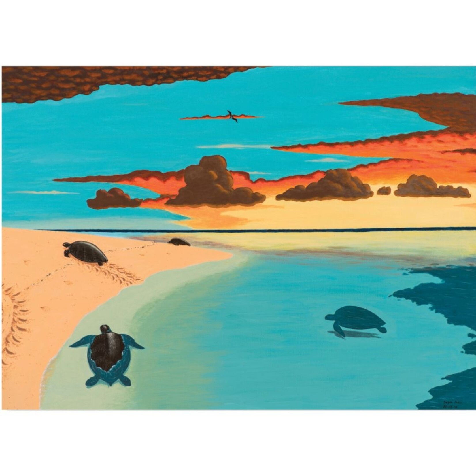 Segar Passi, Turtles  2014 | Open Edition Print