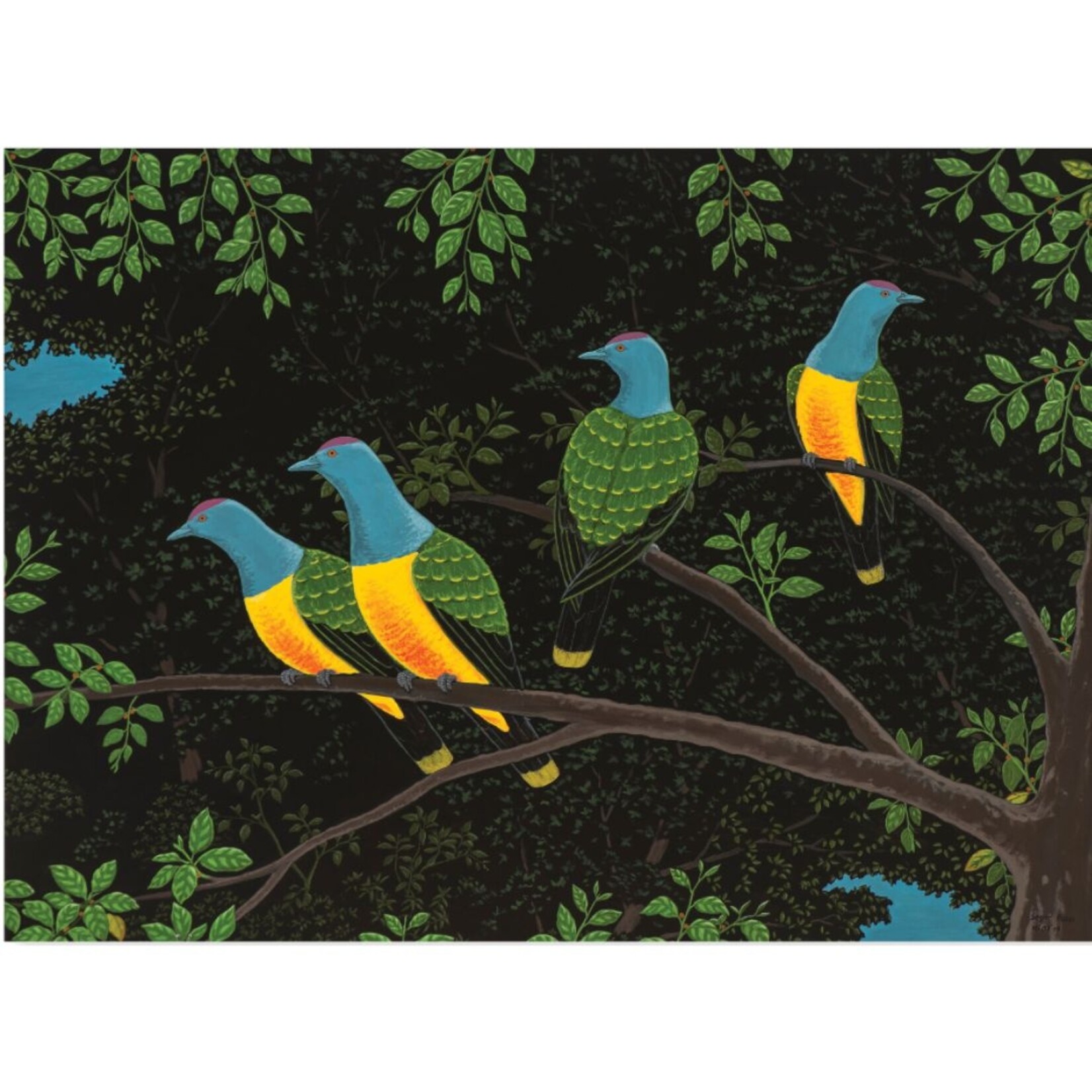 Segar Passi, Fruit Dove (Dibadiba)  2014 | Open Edition Print