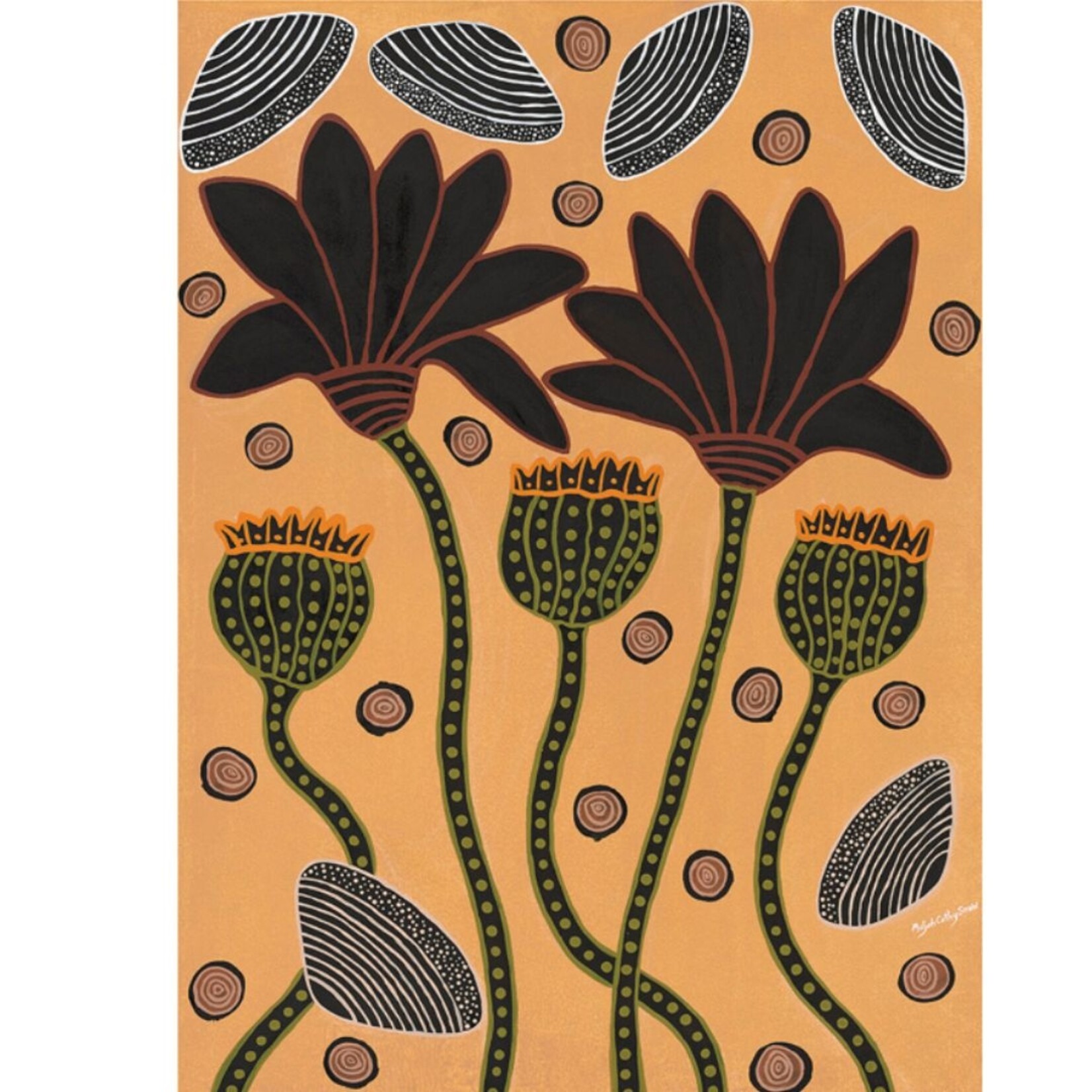 Maljah Cathy Snow, Waterlilies, Freshwater Mussels and Seedlillies  2021| Reproduction Print