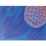 Dorothy Gabori, Corals At My Father's Country | Original Painting