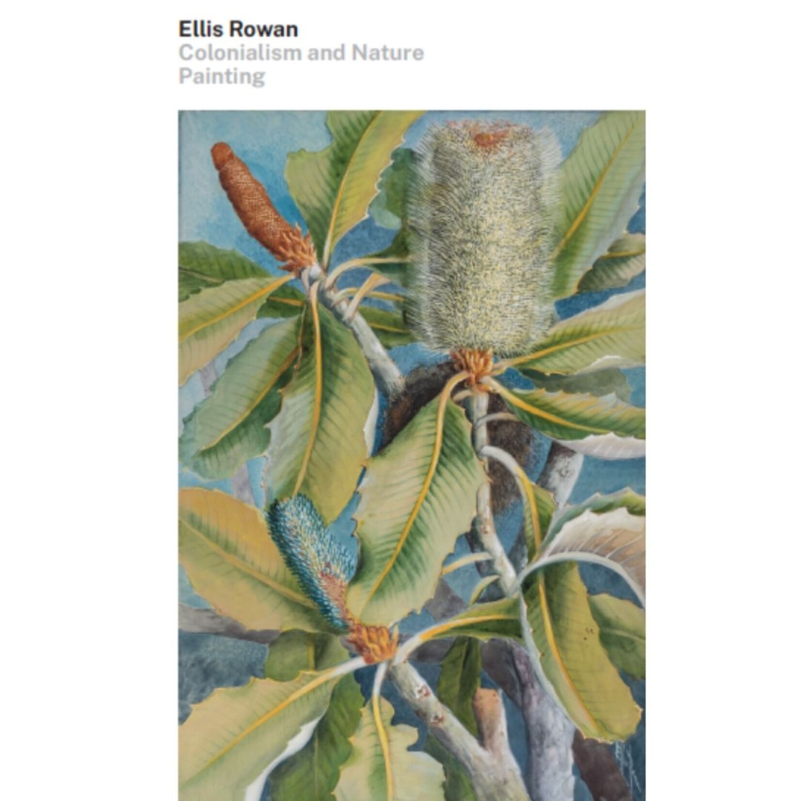 Ellis Rowan, Colonialism and Nature Painting | Exhibition Catalogue