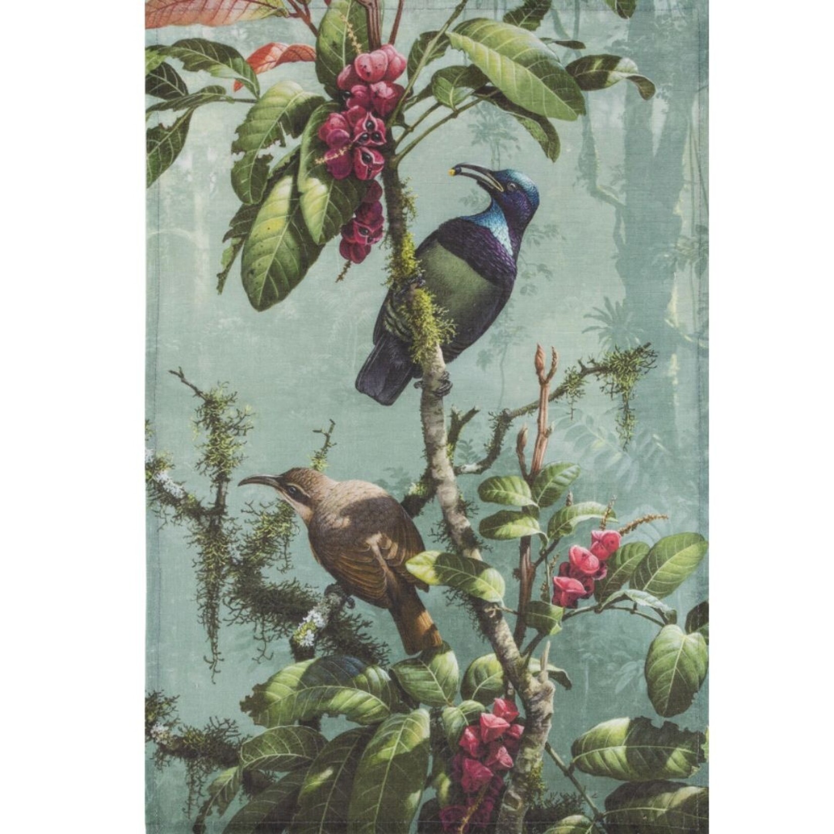 William T Cooper, Victoria's Riflebird | Tea Towel