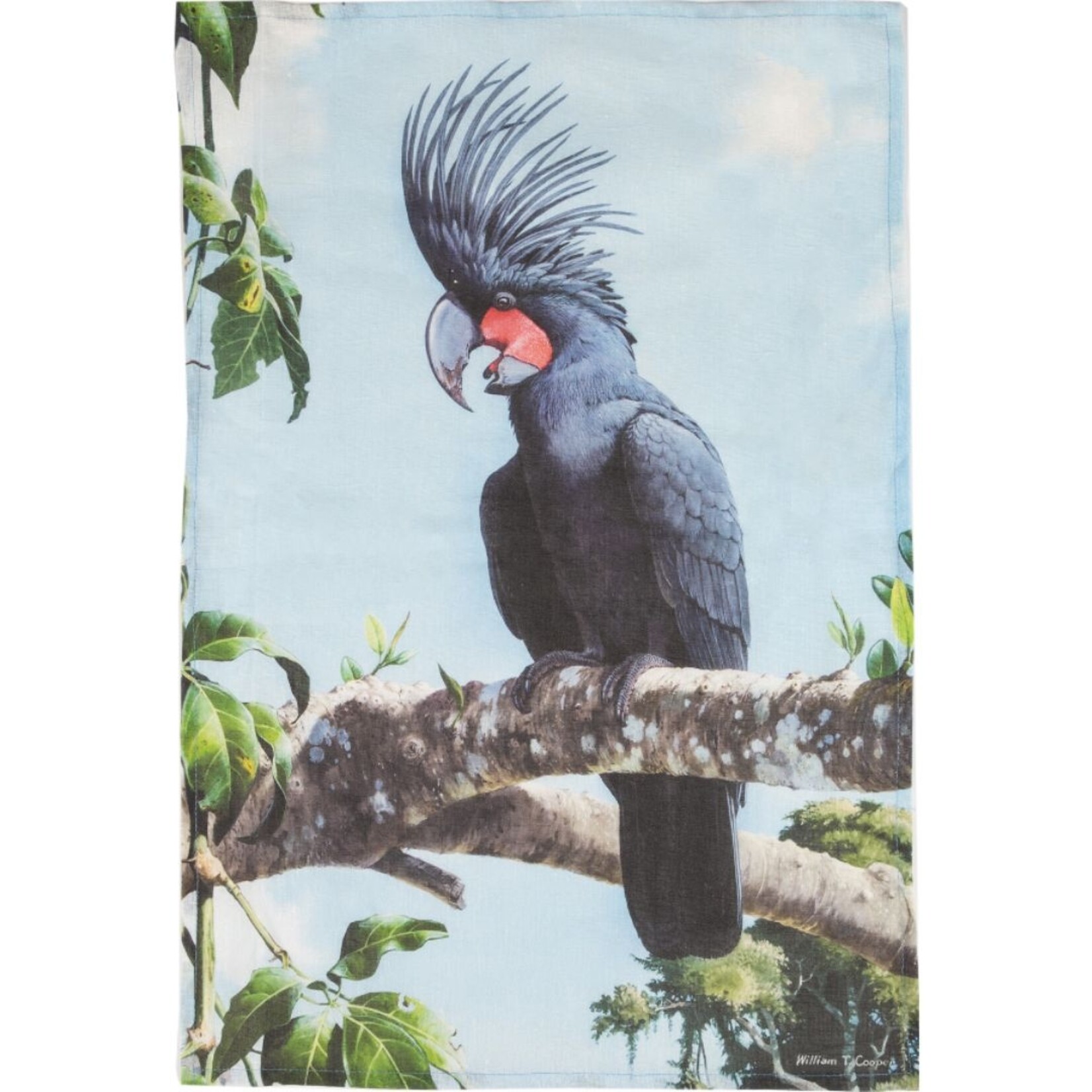 William T Cooper, Palm Cockatoo | Tea Towel