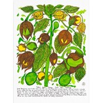 Heather Wunjarra Koowootha, Nature's Goose Berry's | Tea Towel