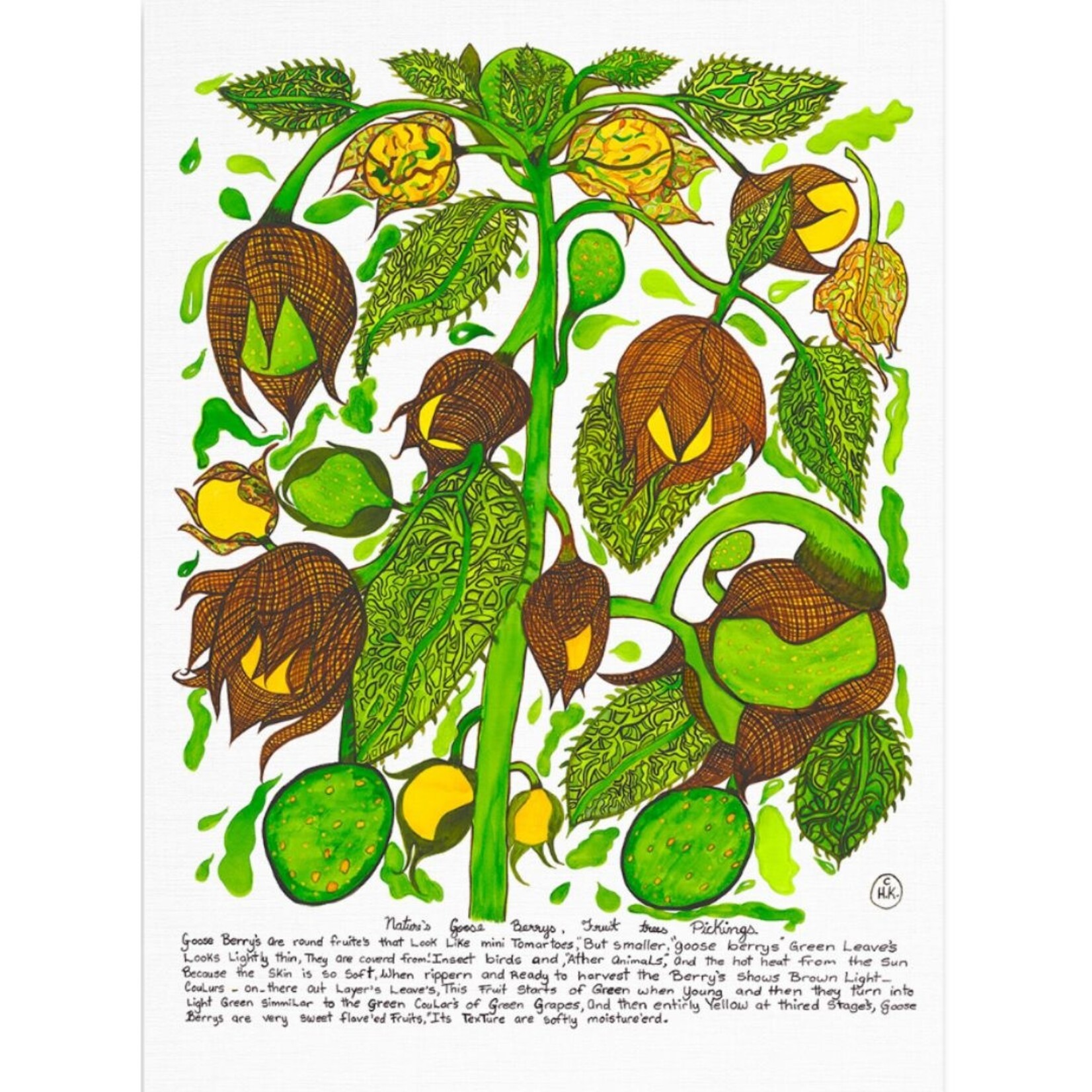 Heather Koowootha,  Nature's Goose Berry's | Tea Towel
