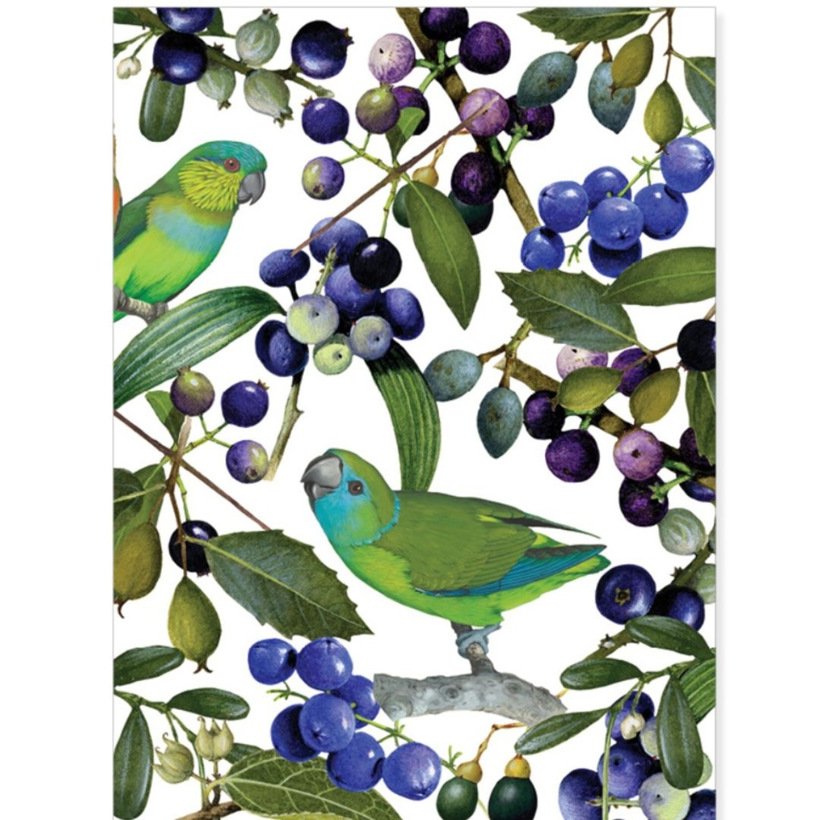 William T Cooper, Fig Parrot & Dianella Caerulea | Tea towel