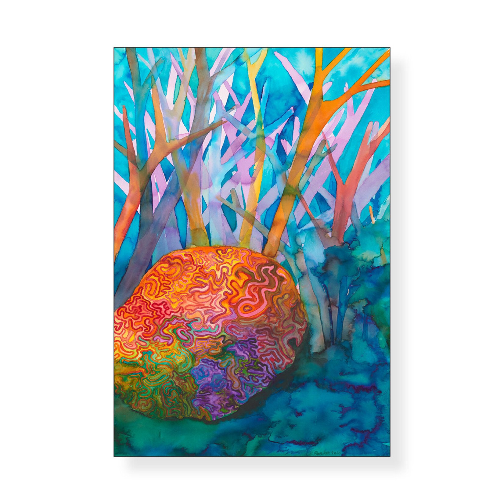 Hannah Parker, Brain Coral 2022 |  A2 Reproduction Print