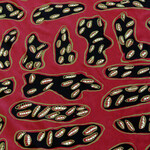 Helen Lanyinwanga, Ngarduk Kunred (My Country) | Textile Length (2.8m) Babbarra Women's Centre