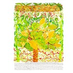 FUNDRAISING REPRODUCTION STOCK Heather Koowootha, Cheese Fruit  2019-2020 | Reproduction Print