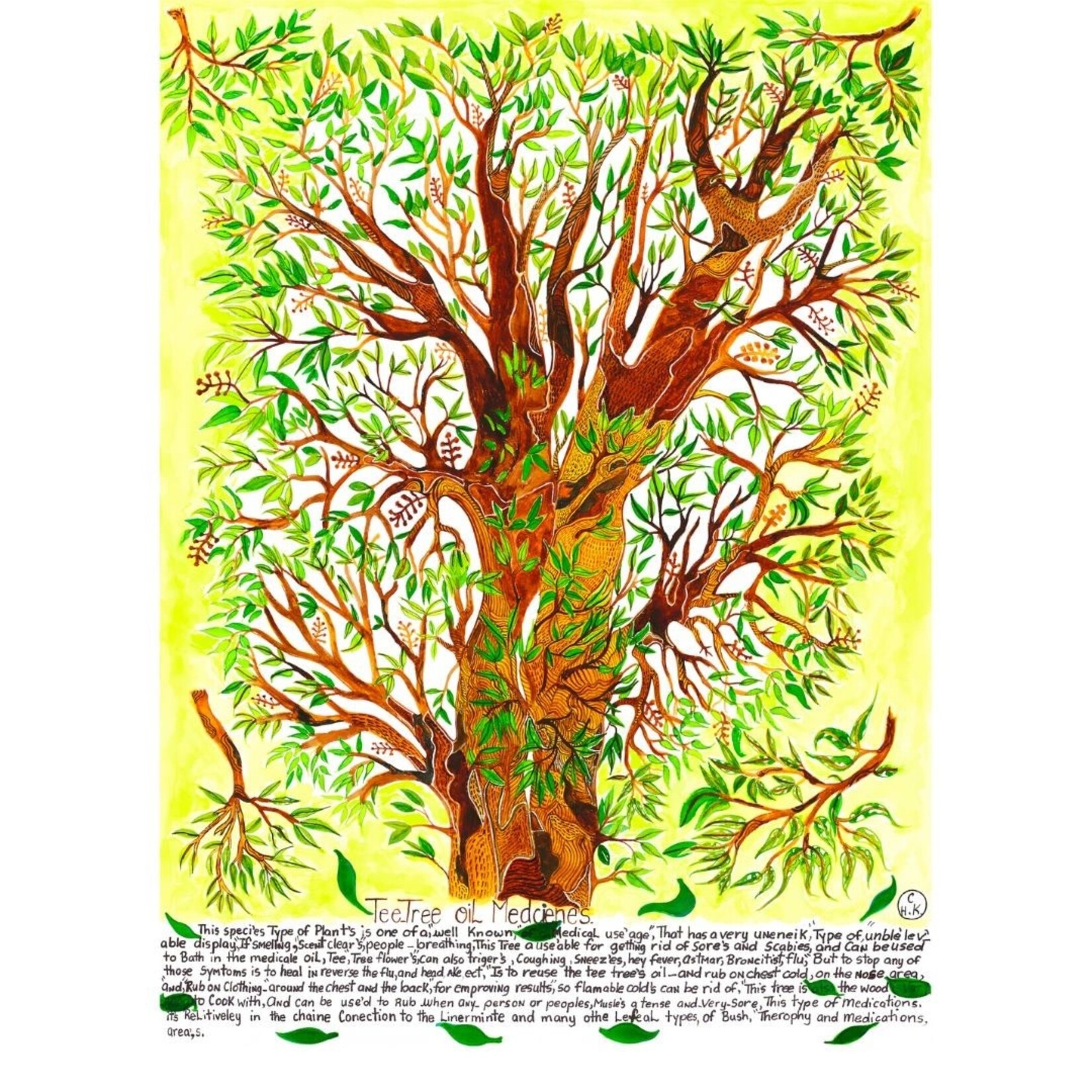 Heather Wunjarra Koowootha, Tea Tree Oil Medicines | Open Edition Print