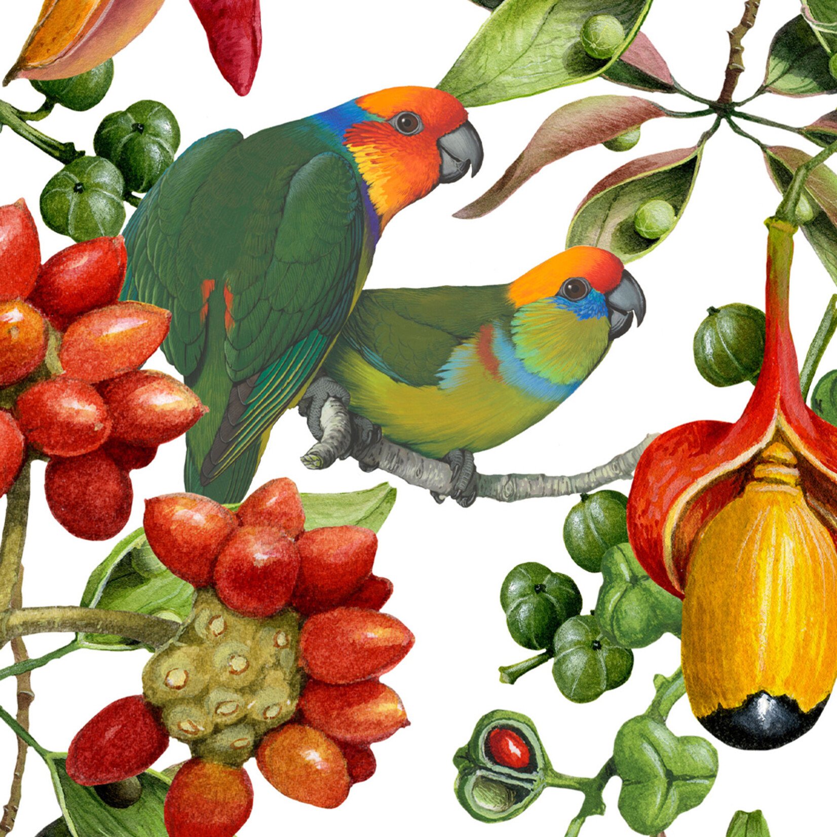 William T Cooper, Fig Parrot & Lomandra | Table Runner
