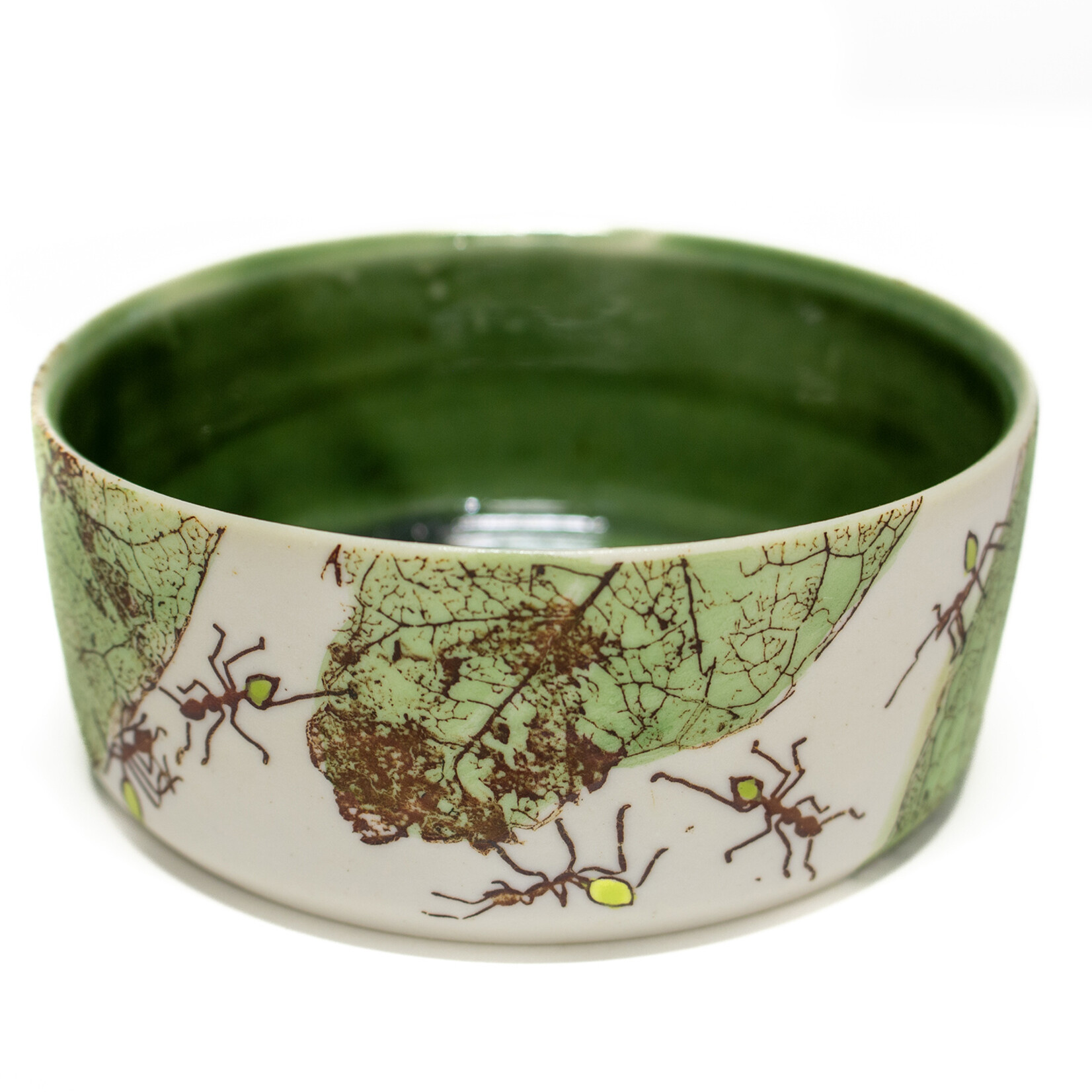 Mollie Bosworth, Green Ant Low Cylinder with Green Glaze, 10.5cm