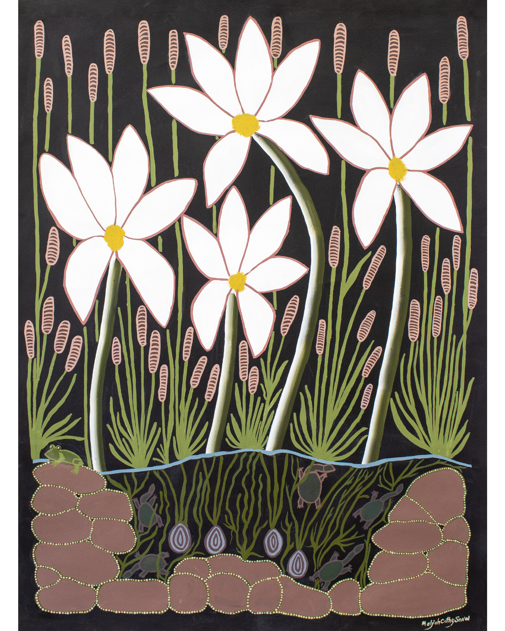 Maljah Cathy Snow, Waterlilies II, Open Edition Print - Cairns Art Gallery