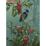 William T Cooper, Victoria's Rifle Bird with Topaz Tamarind | Limited Edition Print