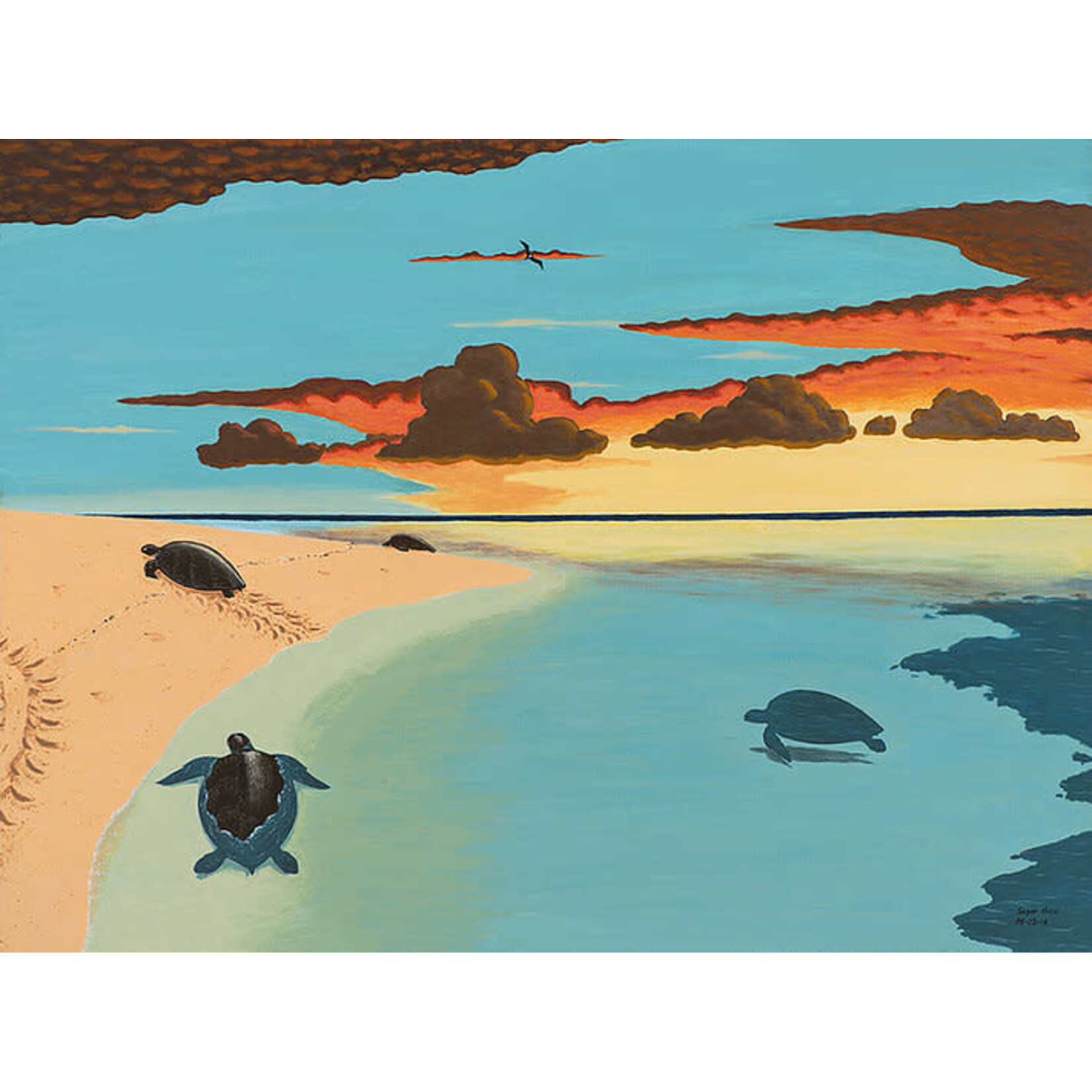 Segar Passi, Turtles  2014 | Open Edition Print
