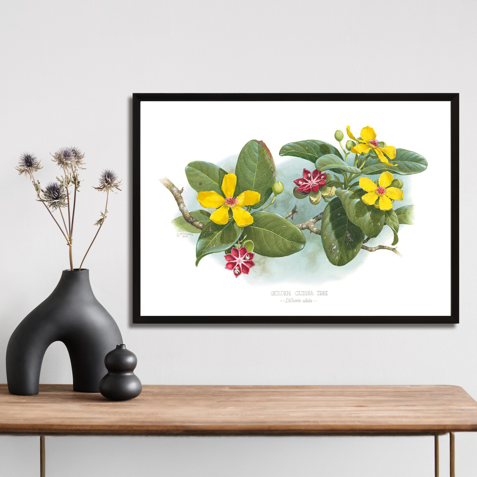 William T Cooper, Golden Guinea Tree | Limited Edition Print
