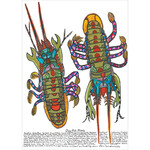 Heather Wunjarra Koowootha, Cray Fish Minna 2024| Open Edition Print