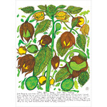 Heather Wunjarra Koowootha, Goose Berries 2019-20 | Open Edition Print