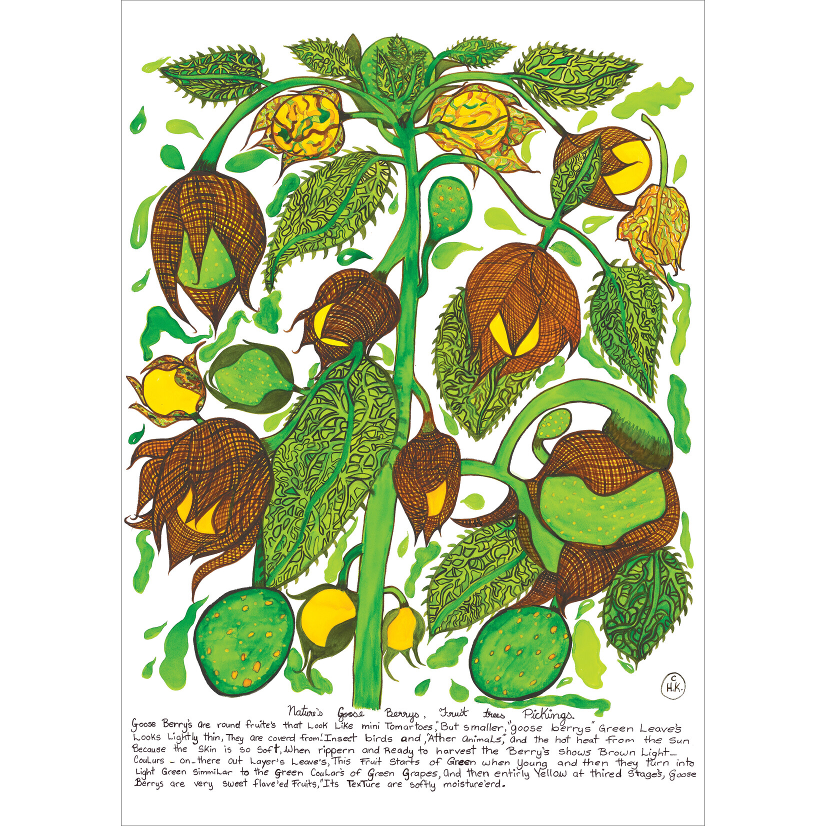 Heather Wunjarra Koowootha, Goose Berries 2019-20 | Open Edition Print