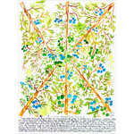 Heather Wunjarra Koowootha, Blue Fruite Medications | Open Edition Print