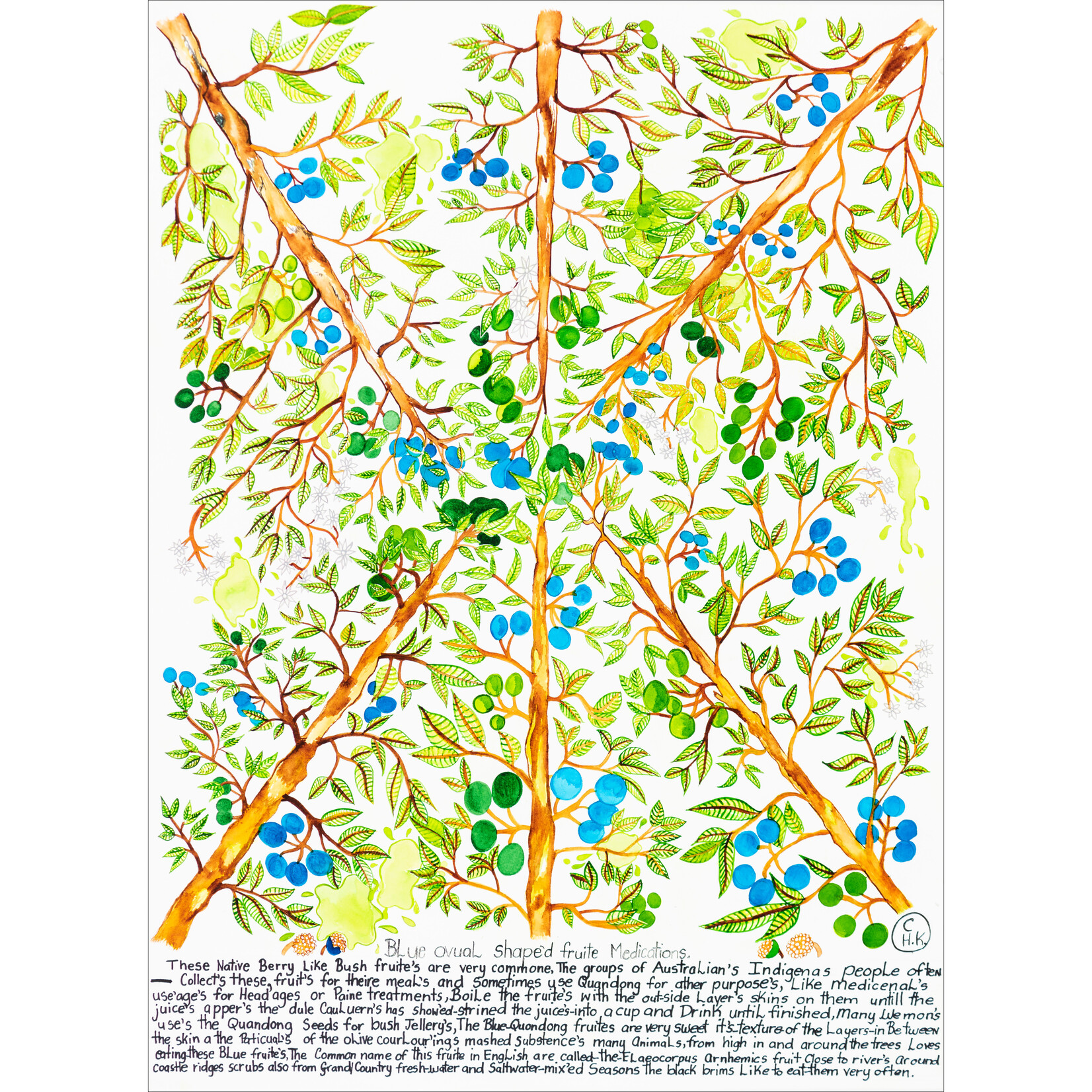 Heather Wunjarra Koowootha, Blue Fruite Medications | Open Edition Print