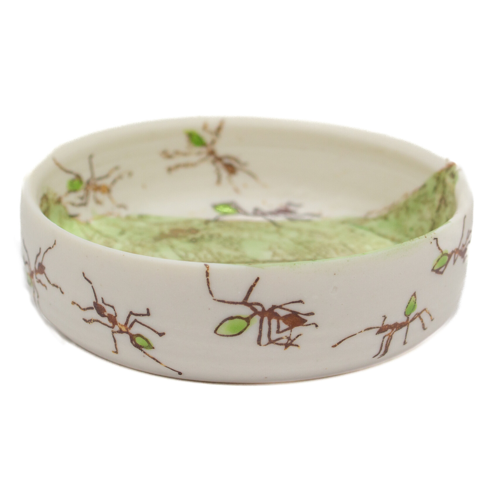 Mollie Bosworth, Green Ant Dish with Leaves | Porcelain