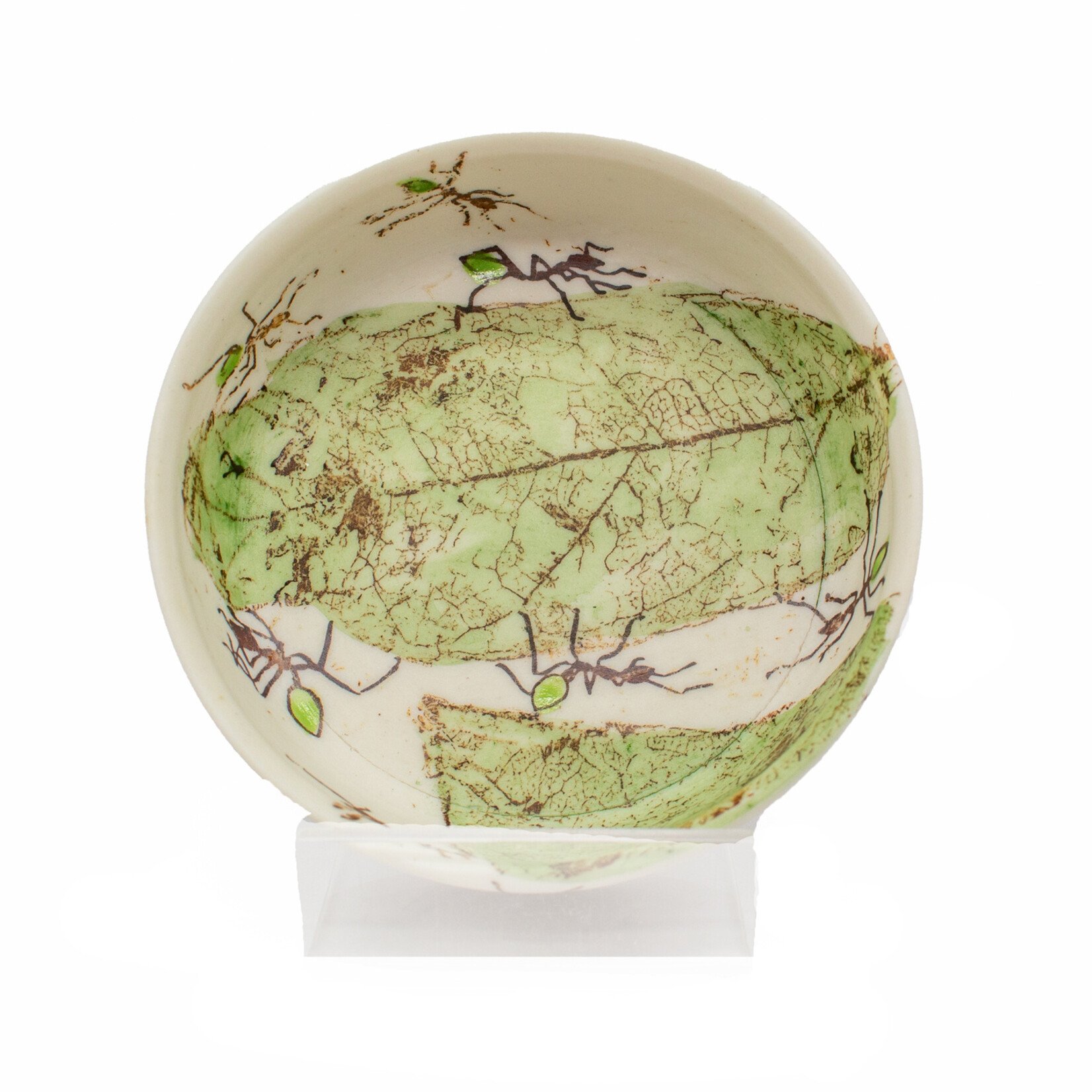 Mollie Bosworth, Green Ant Dish with Leaves | Porcelain