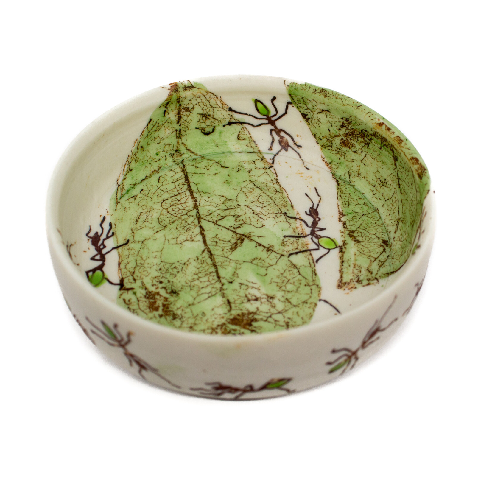 Mollie Bosworth, Green Ant Dish with Leaves | Porcelain