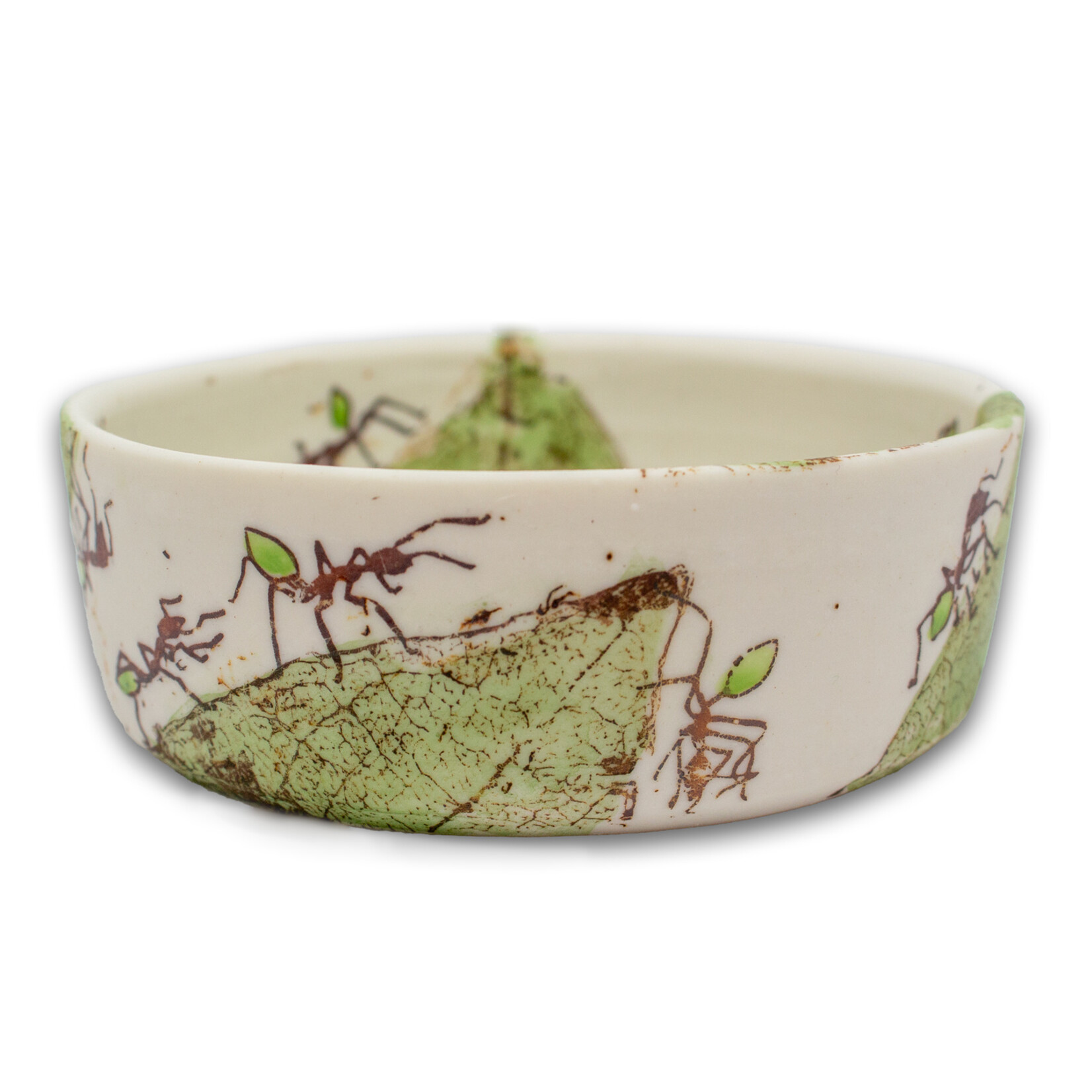 Mollie Bosworth, Green Ant Dish with Leaves | Porcelain