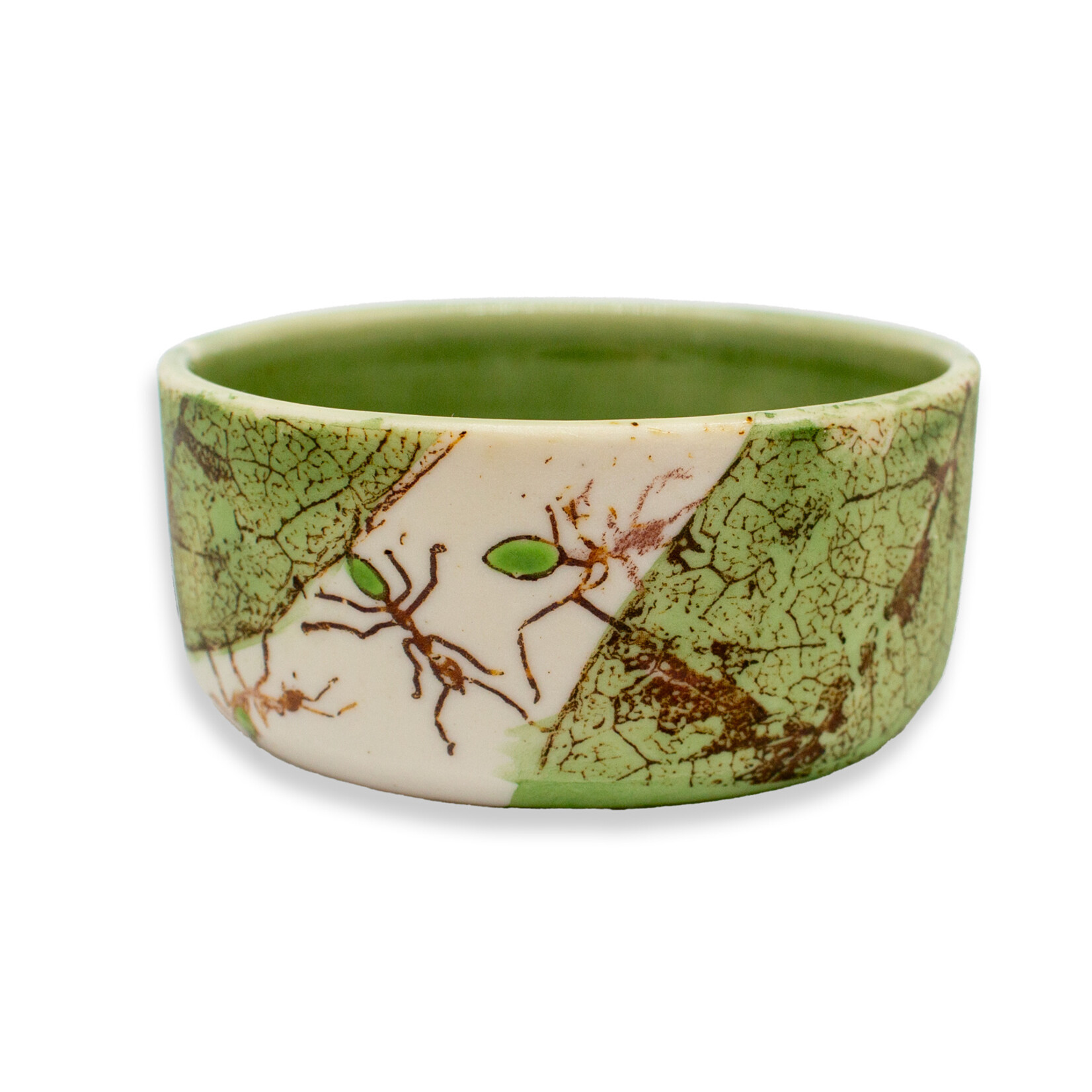 Mollie Bosworth, Green Ant Dish with Glazed Interior | Porcelain